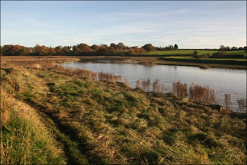 The Roaman River near Rowhedge 