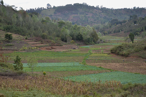 africa landscape tanzania education village soil research farmer agriculture fertility climatechange adaptation ecosystem eastafrica lushoto cgiar foodsecurity ccafs amkn cgiarclimate