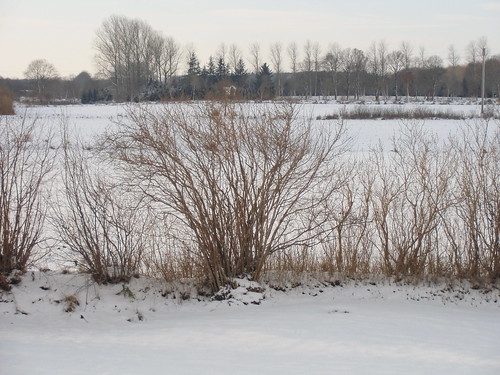 schnee winter snow landscape view landschaft