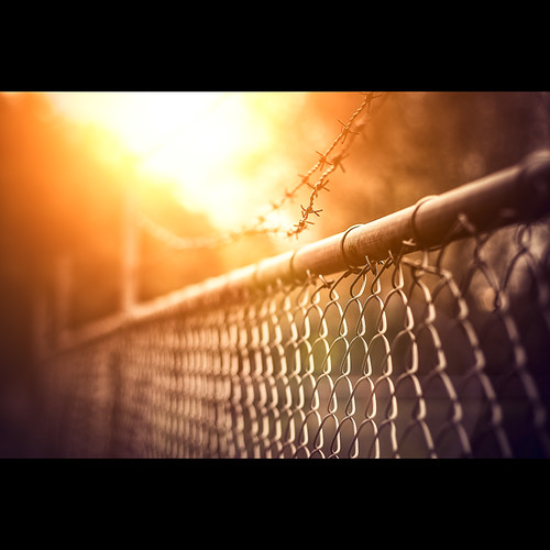 trees light sun cinema canon fence eos 50mm wire warm dof mesh bokeh f14 steel special frame flare cinematic tones barbwire 2012 tangled ef50mmf14usm 60d canon60d jeffkrol img018020121108