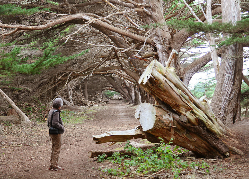 Cypress Trail Hideout