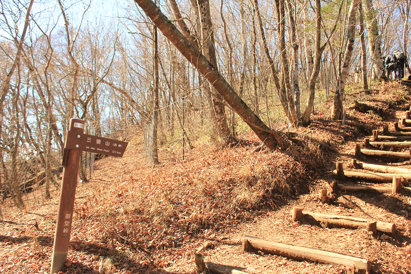 三頭山 登山