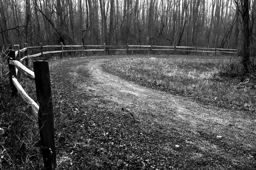trees blackandwhite usa fall nature digital america fence fun woods midwest december pov michigan panasonic adventure trail modified curve processed 248 2012 paintcreektrail