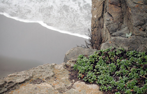 Sutro Baths, San Francisco | by Sharon Mollerus