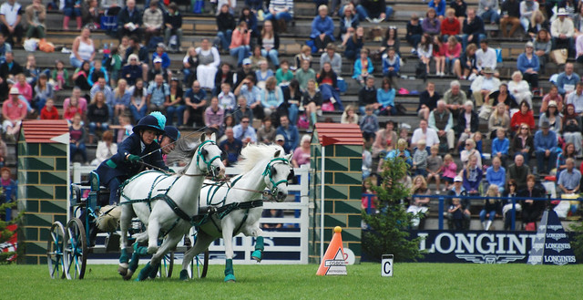 Scurry Racing - Hickstead (017)