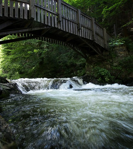 river harz germany bridge summer whitewater trees forest