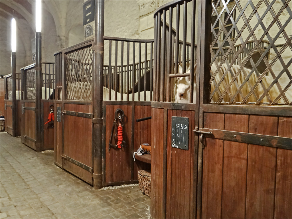 French Stable La Grande Γcurie du ChΓ’teau de Versailles - a photo on Flickriver