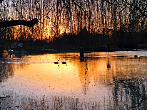 light sun water sunrise river bedford dawn twilight flood bedfordshire felton robertfelton theembankment thegreatouse
