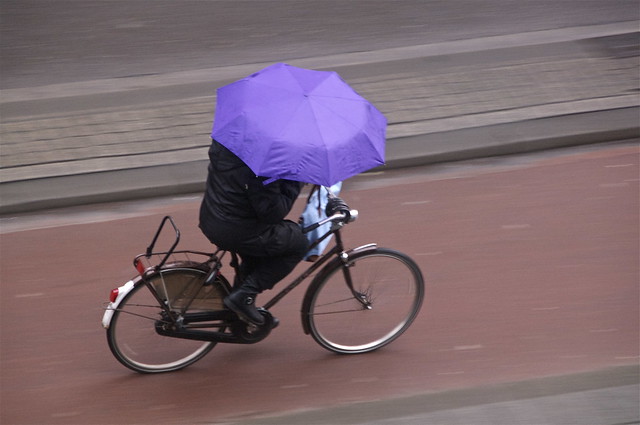 paarse paraplu