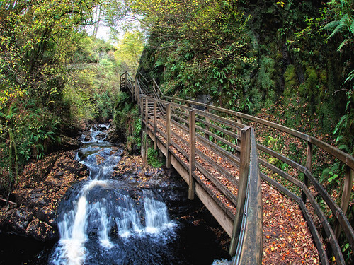 park autumn ireland fall leaves forest waterfall nikon footbridge northernireland woodenbridge glenarm d90 todaniell odaniell tomodaniellcom