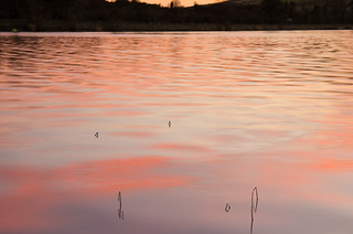 Dawn at Camlough Lake