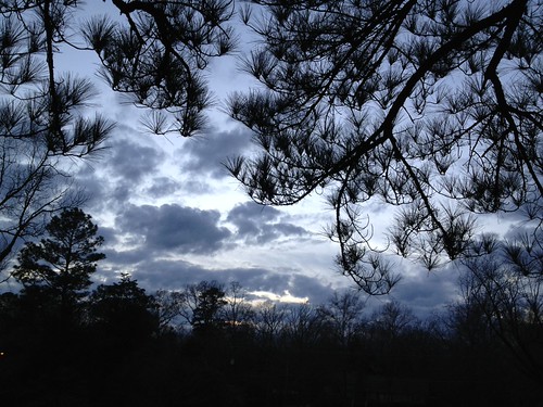 After sunset in Alabama in January by aafromaa, alabama uploaded:by=flickrmobile flickriosapp:filter=nofilter
