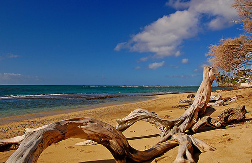 ocean sea sky beach clouds hawaii sand nikon oahu horizon driftwood pacificocean shore yabbadabbadoo d40 diamondheadbeachpark nikond40 diamondheadroad kuileicliffs