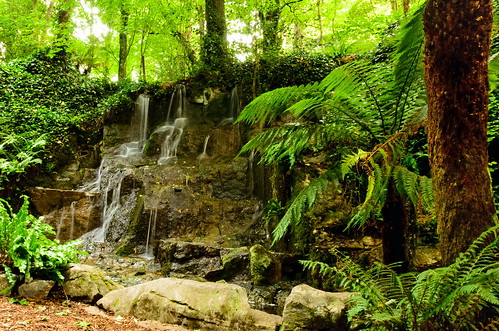blarneycastle blarneygardens blarney cork ireland gardens waterfall hike trail outdoors nature scenic forest