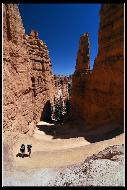 Bryce canyon - on Navajo Loop Trail 4