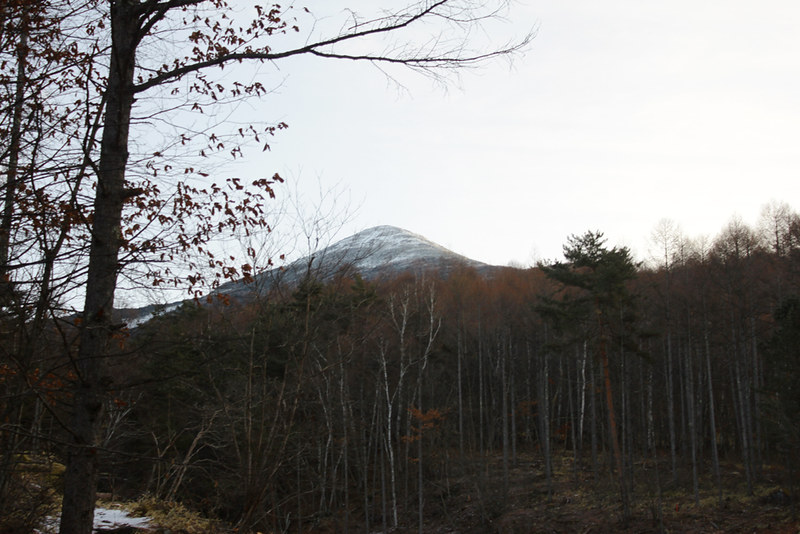 冬の編笠山