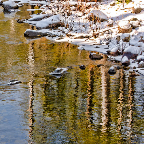 california trees usa snow color water reflections river landscape rocks stream photograph american ripples eldoradocounty thechallengefactory stephencurtin