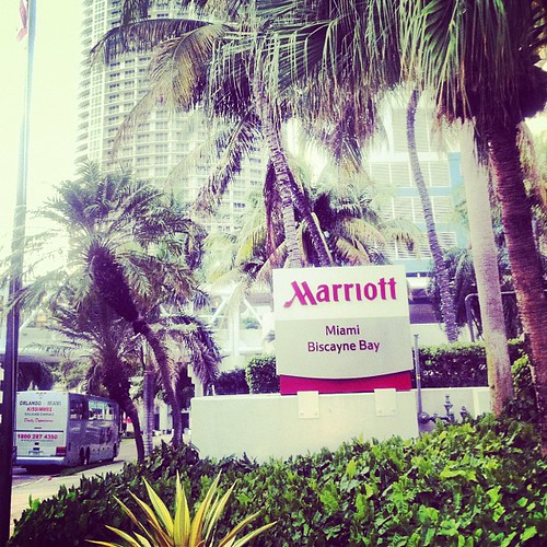 #throwbackthursday  MIAMI #biscayne | by Nomadic Insight