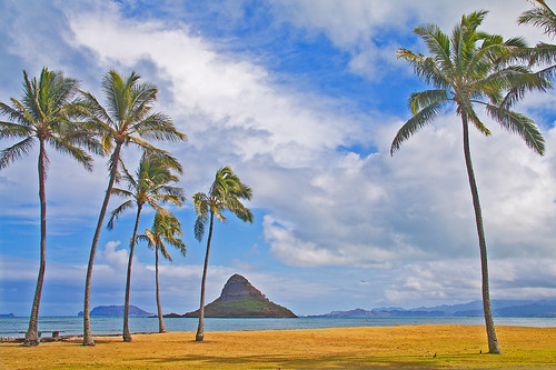 sea sky beach water clouds hawaii islands coast oahu shoreline blues aeroplane palmtrees pacificocean coastline legacy windward mokolii kaneohebay aquas kualoapoint virtualjourney marculescueugendreamsoflightportal virtualjourney2 aliaschinamanshat
