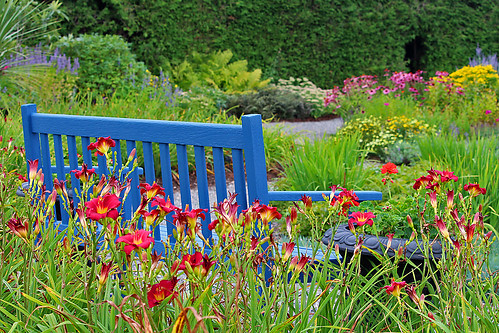 bluebench bench flowers standrews newbrunswick canada