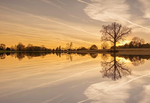 pond sunset fall tree farm nature beauty ngc