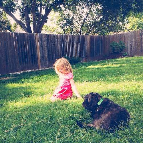 Backyard fun. | by Cody Hamilton