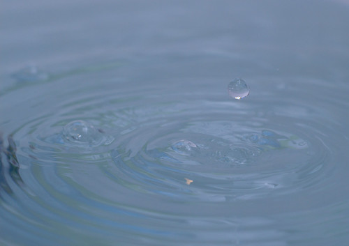 Drip | by Tom.J.A