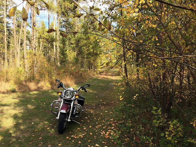 Motorbike and fall colors