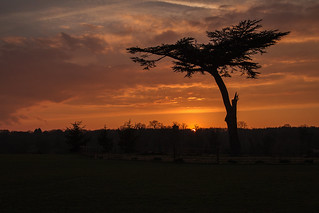 Cassiobury Park sunset...