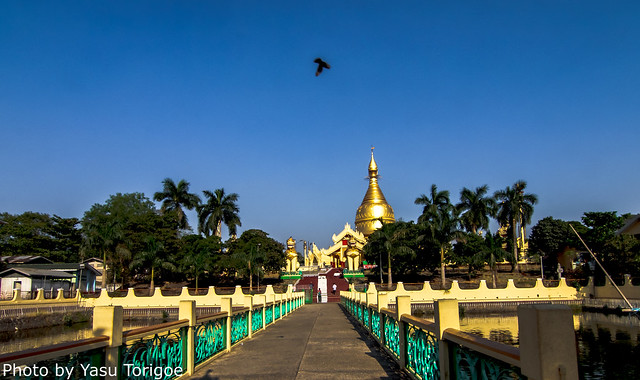 Maha Wizaya Pagoda Yangon Myanmar-57