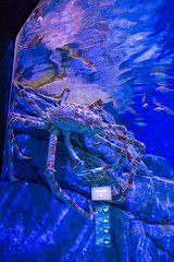 Photo 1 of 25 in the Day 8 - S.E.A Aquarium & Sentosa gallery