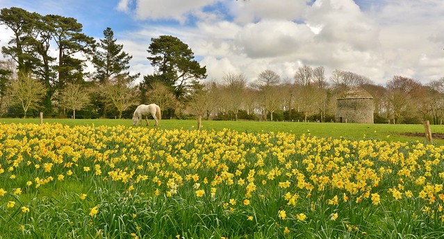 Landudec / Bretagne