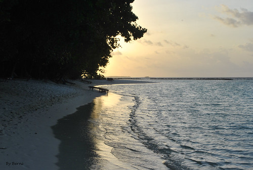 sunset tramonto acqua water blu sky sole maldive maldives foresta