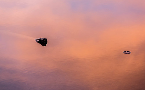 pink orange lake abstract reflection water silhouette sunrise log bright kalamazoo lilypad 1610 aspectratio sixteenbyten