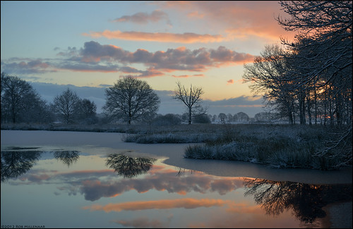 morning holland sunrise landscape dawn scenery nationalparkdwingelderveld