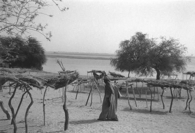 Mali, sur les rives du fleuve Niger