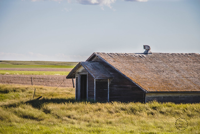 Former Farmstead, Valley County, MT