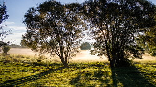 epl6 eynatten fog frühnebel gegenlicht landscape landschaft morgen morning nebel olympus pen raeren sonne sonnenaufgang sunrise