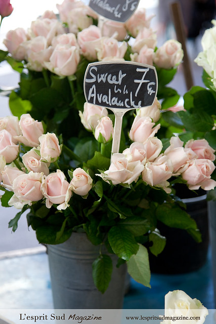 Sweet Avalanche roses at the Cannes Flower market - {Marché Forville}