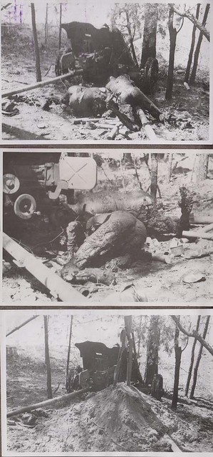 War is Hell -Russian anti-tank crew were hit by HE(high explosive) shells and burried in a hutrry, Operation Barbarossa 1941.
