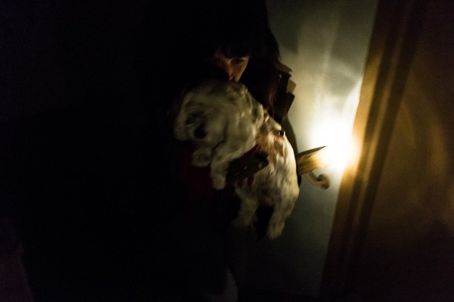 Carrying the dog during the Sandy blackout