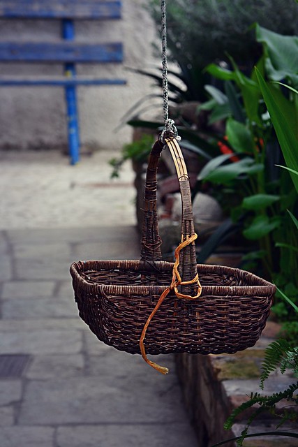 A basket in the garden