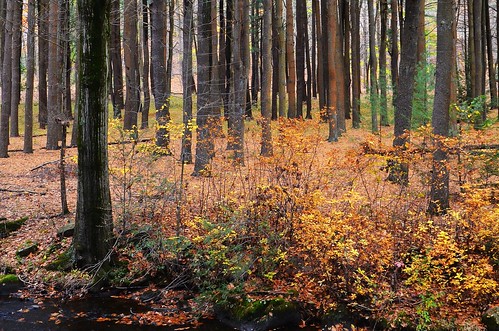 statepark autumn usa connecticut hamden sleepinggiant 06518 johnjmurphyiii