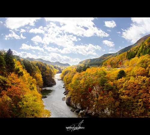 bridge autumn sky mountain tree fall leaves japan canon river fisheye 7d 15mm f28