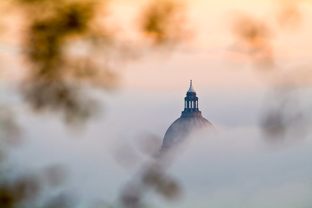 Capitol Building in the Fog, Framed by Late Autumn Leaves