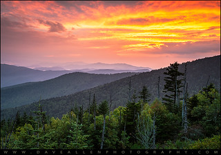 Clingmans Dome Great Smoky Mountains - Purple Mountains Majesty
