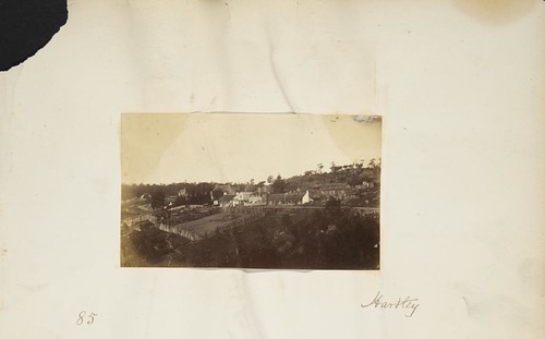 Main street, houses and gardens, Hartley, 1880-1900 | by Powerhouse Museum Collection