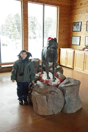 Ken and Wolf Statue by Glowingman638, bear christmas wood old winter sunset sculpture cloud snow ski cold ice pool wheel rock pine river v