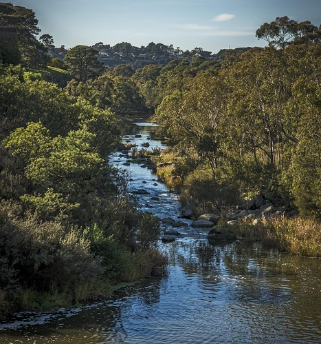 phunnyfotos australia victoria vic geelong river barwonriver water bushland nikon d750 nikond750 highton buckleyfallspark