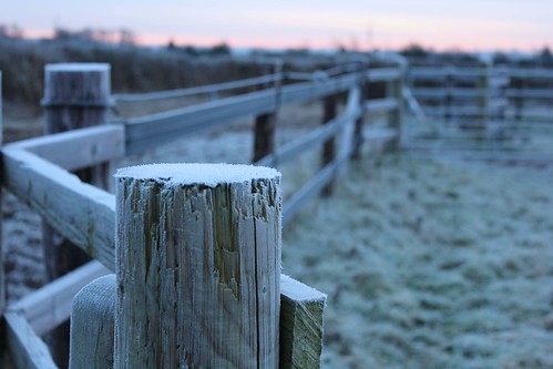 wood winter cold sunrise fence frost post